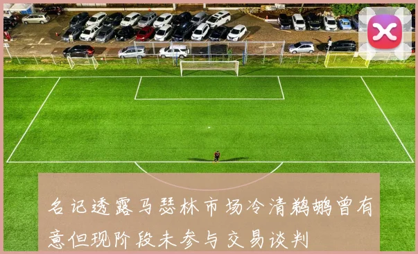 名记透露马瑟林市场冷清鹈鹕曾有意但现阶段未参与交易谈判