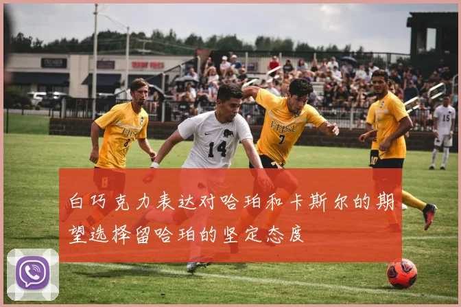 白巧克力表达对哈珀和卡斯尔的期望选择留哈珀的坚定态度
