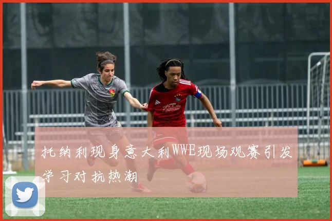 托纳利现身意大利WWE现场观赛引发学习对抗热潮